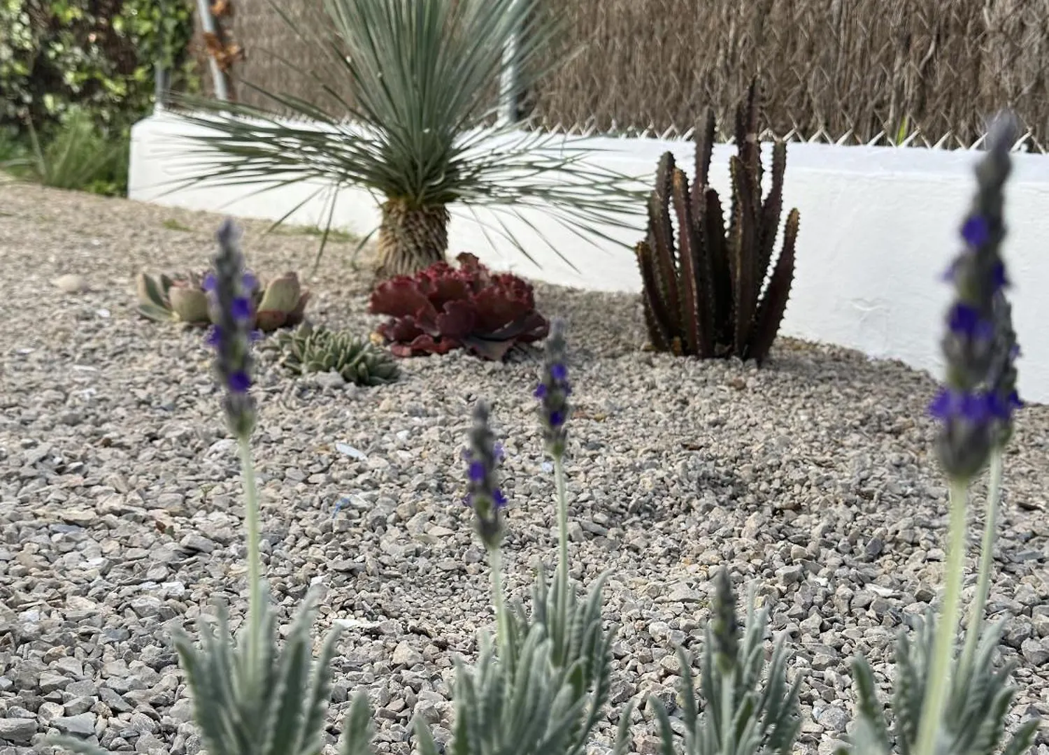 Holiday home Los Jardines De Zahora C03 Cadiz